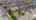 Blurred preview of media: 140