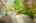 Blurred preview of media: 64 Ravina Cres, Ancaster _ Nathan Ferro146
