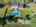 Blurred preview of media: DJI_20260618230145_0006_D
