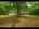 Blurred preview of media: Unknown media
