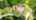 Blurred preview of media: Unknown media