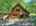 Blurred preview of media: DJI_20260608135947_0539_D_40_D_41_D_easyHDR