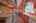 Blurred preview of media: IMG_1330_1_2