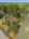 Blurred preview of media: DJI_20250815161623_0001_D
