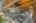 Blurred preview of media: EV0A4539