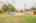 Blurred preview of media: Image-53