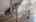 Blurred preview of media: IMG_8732