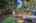 Blurred preview of media: 1-41