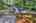 Blurred preview of media: 9zr