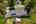 Blurred preview of media: 1-71