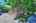 Blurred preview of media: IMG_0838_39_40_easyHDR