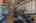 Blurred preview of media: 73