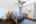 Blurred preview of media: 34