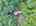 Blurred preview of media: DJI_20260829114720_0149_D_50_D_51_D_easyHDR