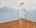 Blurred preview of media: 850_0813