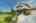 Blurred preview of media: IMG_2089 copy 3