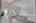 Blurred preview of media: DSC08470