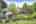 Blurred preview of media: IMG_9703