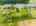 Blurred preview of media: DJI_20250807150854_0801_D
