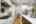 Blurred preview of media: 18-5034_NW_Deerhaven_Ter