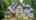 Blurred preview of media: 20029 Callaway Hills Ln-8