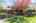 Blurred preview of media: 99 Beaver Road Reading Massachusetts Job 39079 0083