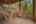 Blurred preview of media: 285 Silver Queen Drive, Breckenridge, CO 80424-Web-58