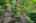 Blurred preview of media: SW Boundary st-49