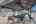 Blurred preview of media: 027