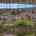 Blurred preview of media: hf_20261005_073412_aa707579-ffff-4f6d-afb3-c5363a5efd69