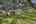 Blurred preview of media: 35 4200-havenrock