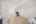 Blurred preview of media: DSC01502