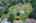 Blurred preview of media: 18313 E Crestline Cir Aerial 00003