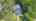 Blurred preview of media: DJI_0305
