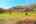 Blurred preview of media: Runneymede Neighborhood Pastures 4 Davidson NC