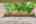 Blurred preview of media: 022