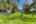 Blurred preview of media: 00_Ipixx_1