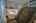 Blurred preview of media: IMG_5090_1_2