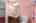 Blurred preview of media: 2-Bed2Bath
