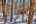 Blurred preview of media: IMG_0289_90_91_easyHDR