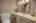 Blurred preview of media: 26