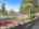 Blurred preview of media: 20499447-22