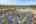 Blurred preview of media: 1-2