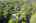 Blurred preview of media: 1 Bryant Avenue Shrewsbury Massachusetts Job 39631 0085