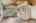 Blurred preview of media: 121 Millbury Avenue Millbury Massachusetts Job 39336 0044