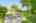 Blurred preview of media: 7 Wallis Ave, Smithville _ Nathan Ferro68