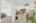 Blurred preview of media: 4