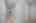 Blurred preview of media: 31