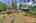 Blurred preview of media: IMG_4589_90_91_easyHDR