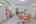 Blurred preview of media: IMG_5717_8_9